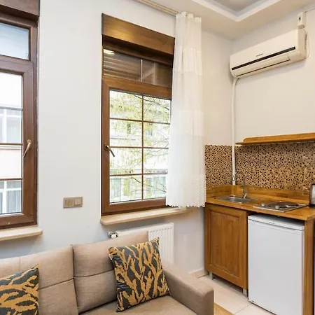 Bright 1 Bedroom Flat W/ac In Cihangir Apartament *